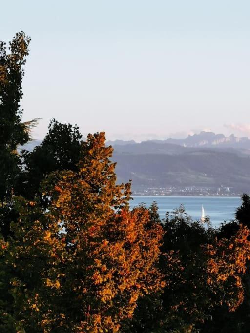 Wohnen Direkt Am Uferpark Mit Grossem Balkon Und Seeblick Appartement