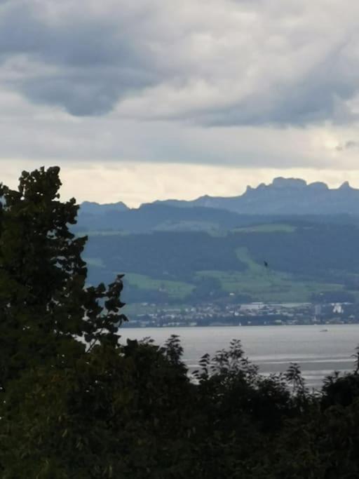 Appartement Wohnen Direkt Am Uferpark Mit Grossem Balkon Und Seeblick